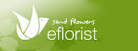 eFlorist eFlorist