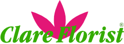 Clare Florist Clare Florist