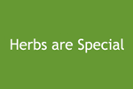 Herbs Are Special Herbs Are Special