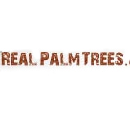 Real Palm Trees