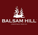 Balsam Hill Balsam Hill
