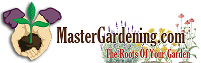 Master Gardening Master Gardening